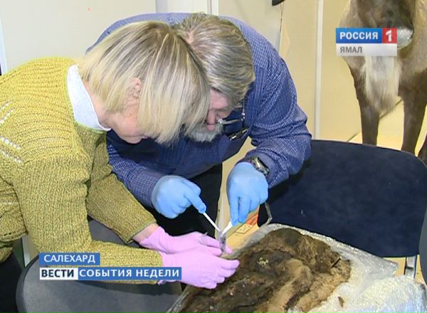 ДНК ямальской мумии взяли московские ученые