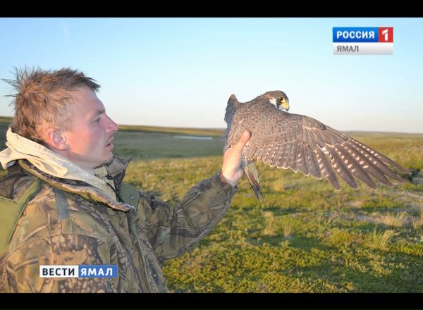Ямальские орнитологи