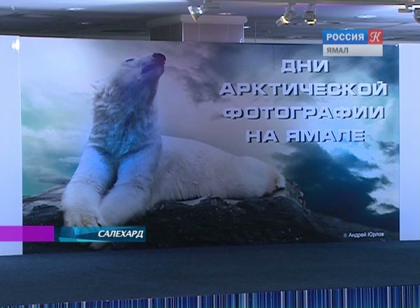 «Дни арктической фотографии на Ямале»