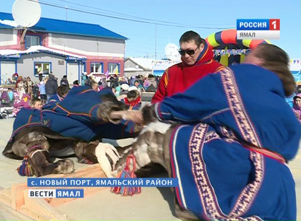 День оленевода в новом порту 2018 День оленевода в новом порту 2018