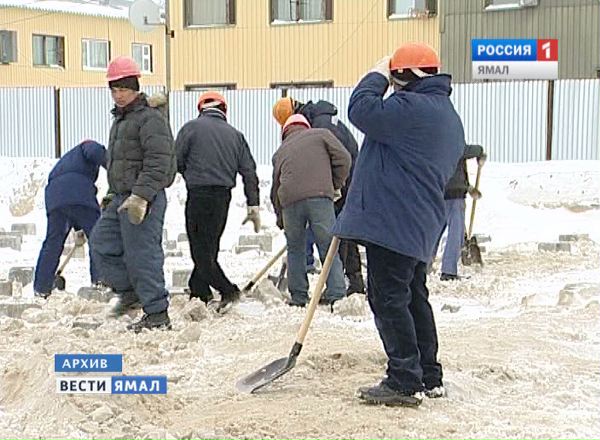 На Ямале сократят число трудовых мигрантов на 54%