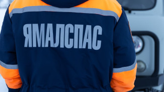 В Муравленко три человека оказались в ледяном плену из-за поломки машины