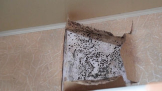 Жители Нового Уренгоя добились ремонта кровли после годового противостояния