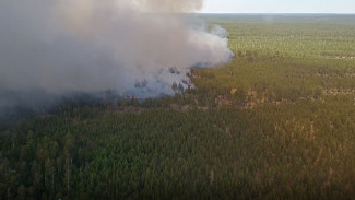 Лесные пожары на Ямале: за сутки ликвидированы восемь возгораний