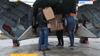 Во сколько обойдется восстановление традиционного образа жизни тундровиков, эвакуированных из зоны карантина?