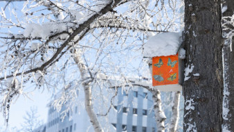 В Гидрометцентре рассказали, какими будут весна и лето на Ямале