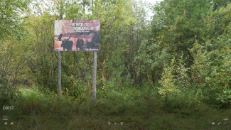 Инспекторы «Ямальского лесничества» проверили популярные места отдыха жителей Мужи