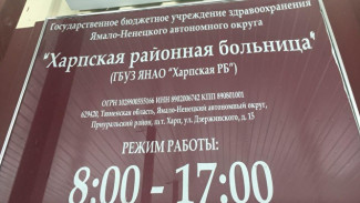 Сто двадцать верст в один конец. Что обещают пациентам и медикам поселка Харп?