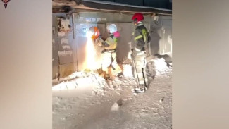 Иностранца на Ямале отправили в тюрьму за попытку изготовления оружия