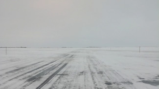 Несколько зимников закрыты из-за непогоды: о дорожной обстановке на Ямале 15 февраля