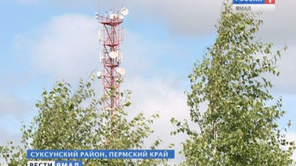 «Ростелеком» апробирует в Пермском крае систему видеонаблюдения за лесными пожарами