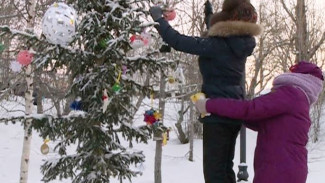 Пингвины поселились в Салехарде: новшества городского сада