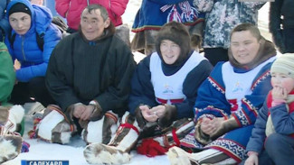 Различия и сходства. Как прошёл День оленевода, совпавший с форумом народов Арктики