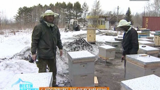 В Хабаровске бывший военный взял 3 «дальневосточных гектара», чтобы разводить пчёл
