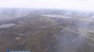 Лесной пожар в Шурышкарском районе потушен