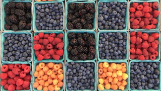 Вкусные и полезные: какие ягоды необходимо включить в осенний рацион