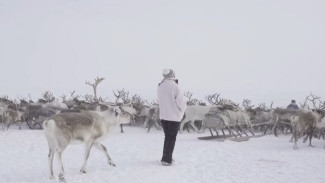 Влюбленные в Арктику: Ямал посетили популярные российские блогеры