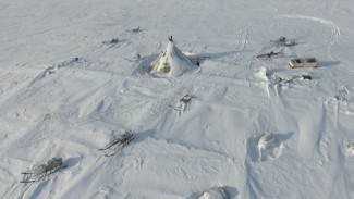 По следам браконьеров: «Арктический патруль» в Ямальском районе