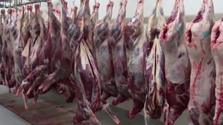 Крайний Север доказывает, что может кормить страну не хуже нефтяников и газовиков