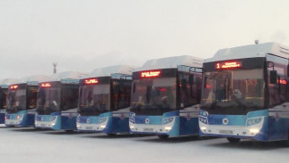 Комфортные и экологичные: в Новом Уренгое на линию вышли 10 новых автобусов