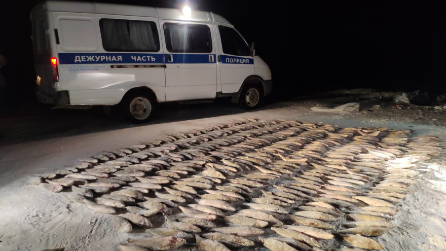 Ямальца, незаконно перевозившего 11 мешков рыбы, доставили в отделение полиции