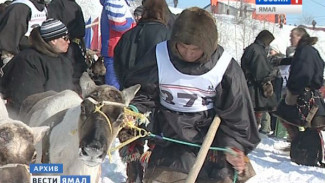 Как пройдет День оленевода 2016 в городах и поселках Ямала