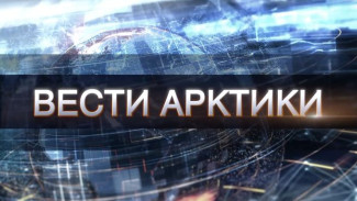 «Вести Арктики» от 29.01.2022: новый выпуск с территории низких температур и северного сияния