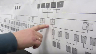 Захватывающее расследование: как салехардцы составляют семейное дерево