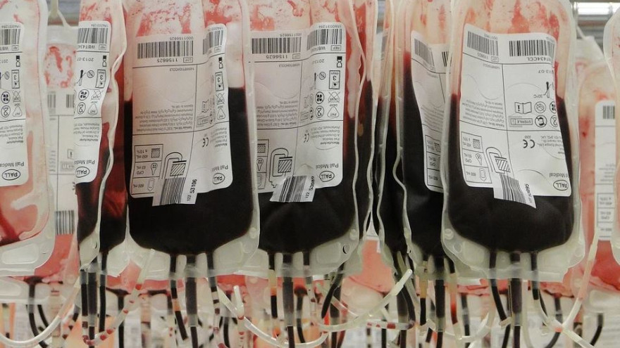 20 апреля Россия отмечает Национальный день донора крови: как пополнить ряды добровольцев