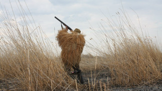 Власти обнародовали регламент проведения весенней охоты на Ямале