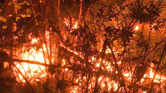 Борьба с огнем: в Якутии бушуют 165 лесных пожаров