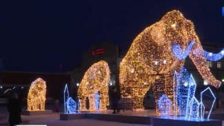 Ледяные городки, новогодние ёлки и яркие гирлянды: как готовится к празднику Ямал