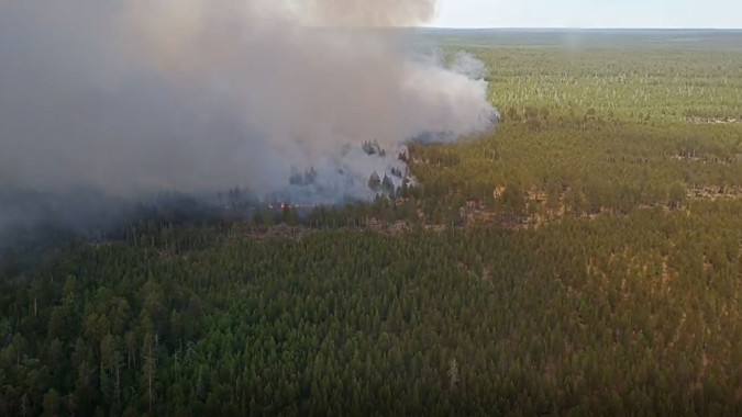 На Ямале действуют четыре лесных пожара на площади 470 гектаров