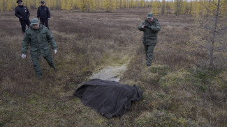 Не дошёл до родного чума: на Ямале расследуют обстоятельства смерти тундровика 