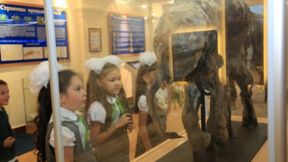 1 сентября главный музей Ямала зовет детей в таинственное путешествие по островам