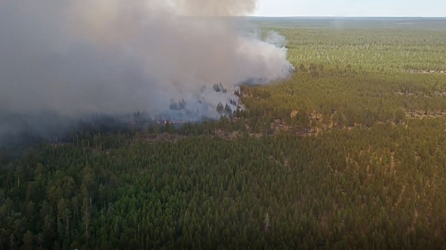 Лесные пожары на Ямале: за сутки ликвидированы восемь возгораний