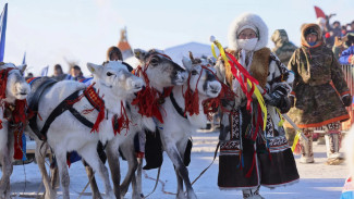 Тарко-Сале принимает главный праздник тундровиков на Ямале