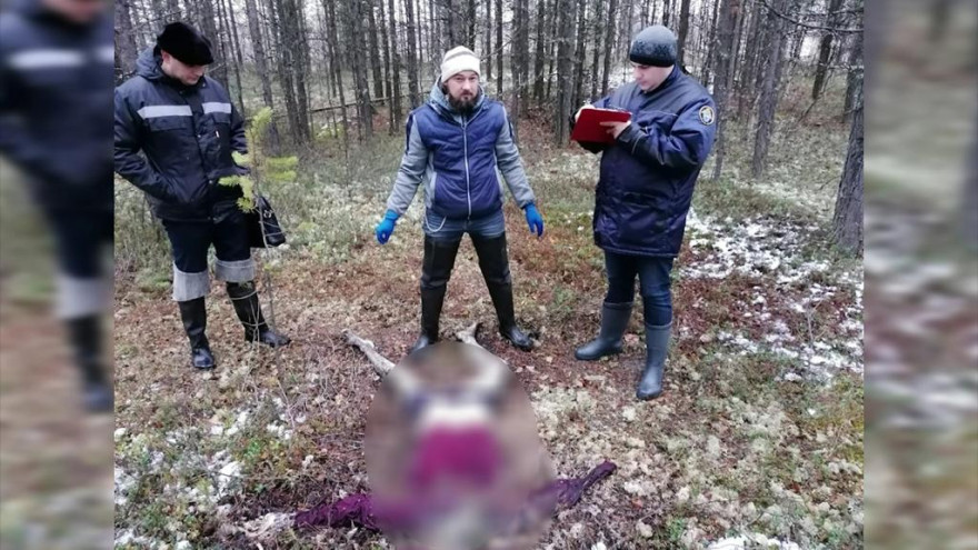 Эксперты установили личность мужчины, чьи останки были найдены в Ноябрьске (ФОТО)
