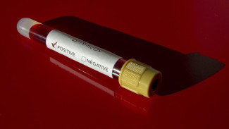На Ямал вернулись результаты тестов на коронавирус: есть новые подтвержденные случаи