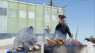 В Салехард вернулась научно-исследовательская экспедиция с острова Вилькицкого