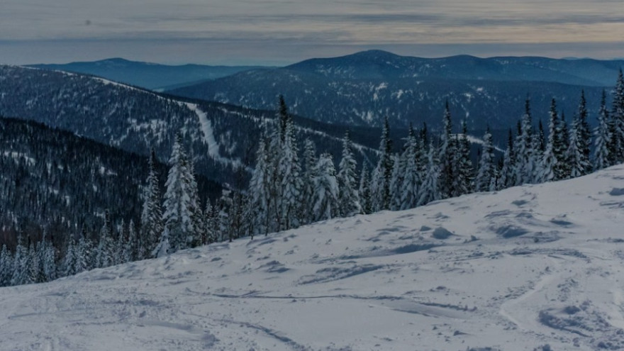ИИ помог найти более сорока без вести пропавших в Архангельской области