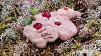 На Ямале нашли невероятно экзотический «кровавый» гриб 