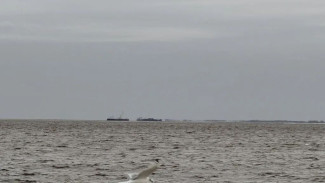 Лодка с людьми затонула на Хаманельской Оби