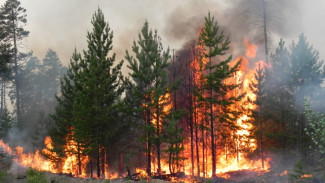 На Ямале действуют 8 пожаров