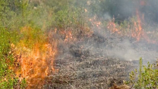 Благодаря спасателям и поздней весне, на Ямале стало меньше пожаров