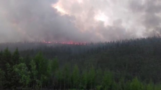 Введен режим ЧС: на Чукотке борются с крупными лесными пожарами
