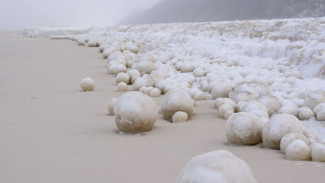 Эксклюзивное видео: огромные снежные шары на побережье Обской губы