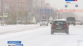 В Ноябрьске автоледи разъезжала по городу с поддельными правами