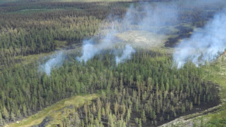 На Ямале зафиксирован один лесной пожар на общей площади 13,3 га