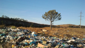 Северяне продолжают мусорить: в Муравленко ликвидировали 22 несанкционированных свалки